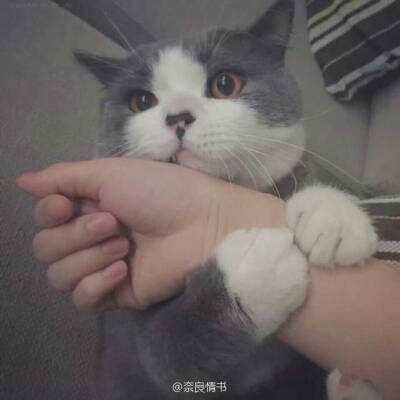 王者战神手游下载官方版