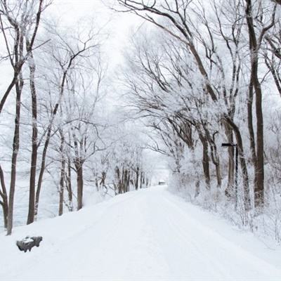 驯鹿reindeers vr游戏下载